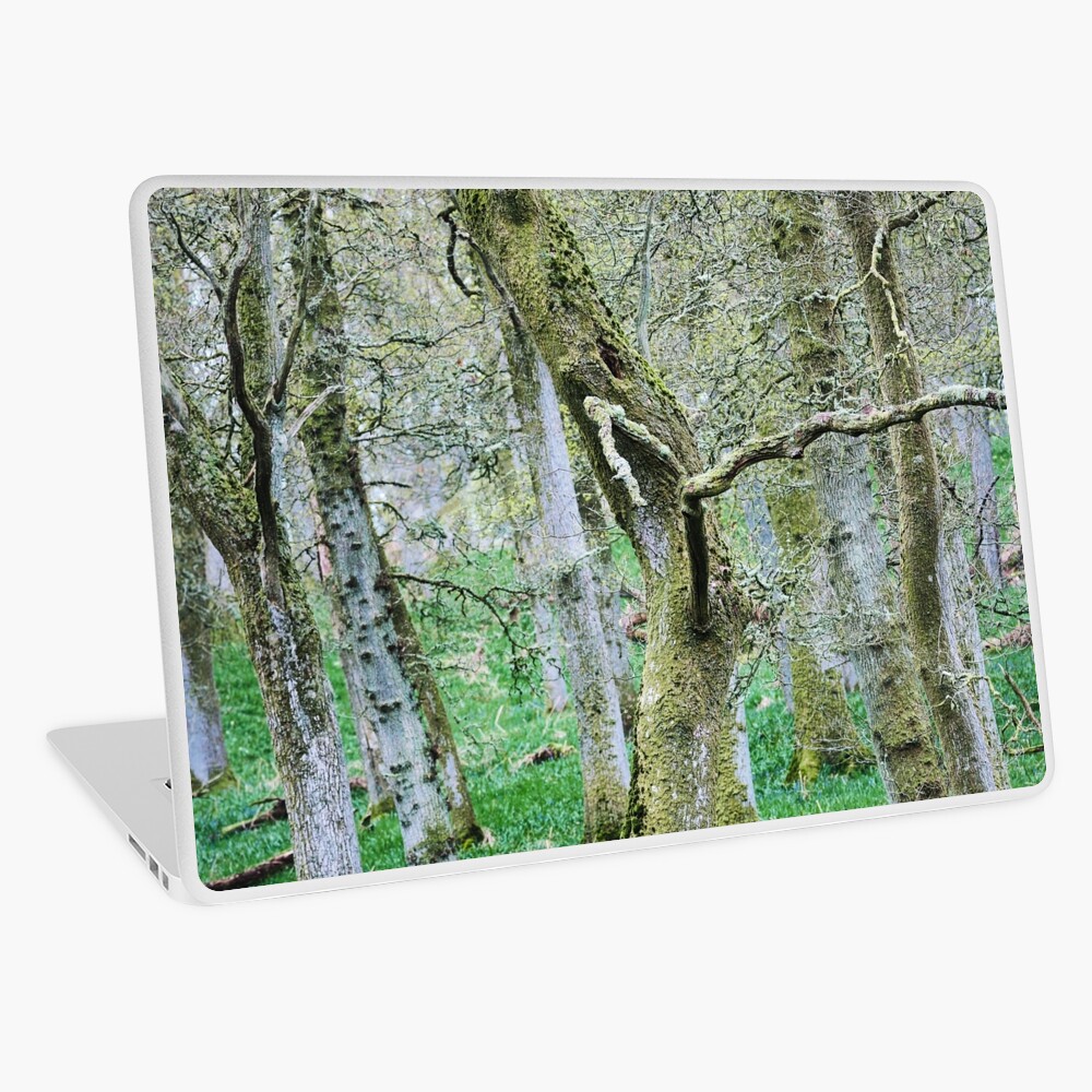 Item preview, Laptop Skin designed and sold by ShinyPhoto.