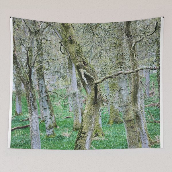 Item preview, Around Kinclaven (2): Bluebell Woods designed and sold by ShinyPhoto.