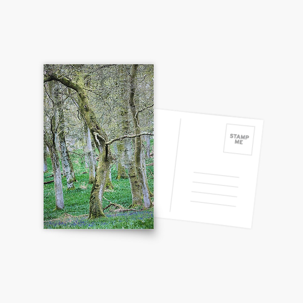Item preview, Postcard designed and sold by ShinyPhoto.