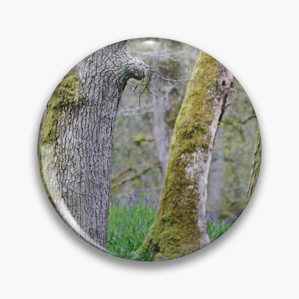 Item preview, Around Kinclaven (4): Bluebells designed and sold by ShinyPhoto.