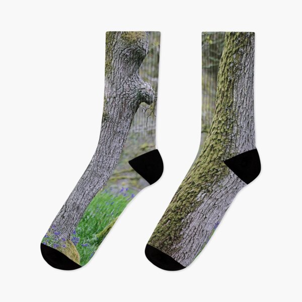 Item preview, Around Kinclaven (4): Bluebells designed and sold by ShinyPhoto.