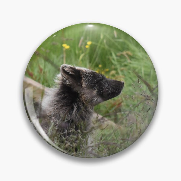 Item preview, Arctic fox enjoying the early morning hours.  designed and sold by Iceland-Effect.