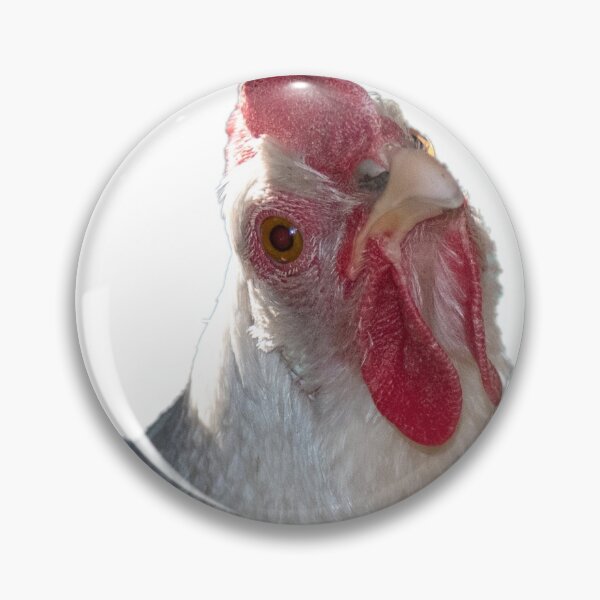 Item preview, cluck cluck designed and sold by cahphotography.
