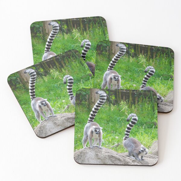 Item preview, Ring-tails on a Rock designed and sold by Emmaline Jones.