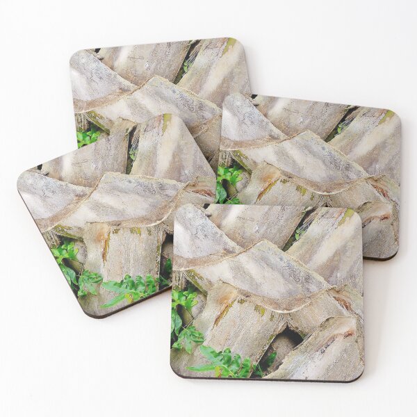 Item preview, Trimmed Palm Trunk  designed and sold by Martha Sherman.
