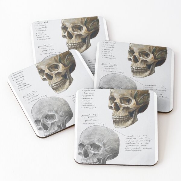 Item preview, Skull Anatomy Studies designed and sold by Messy Confetti.