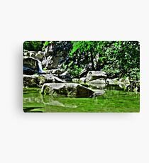 Green Mirror Canvas Print