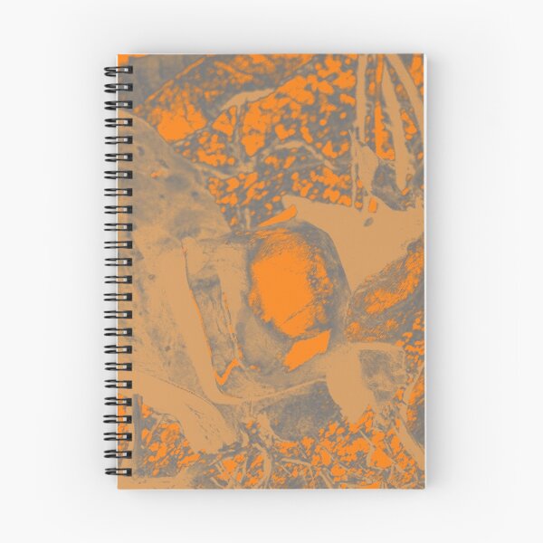 Item preview, Photo effect  designed and sold by Jodie Cooper.