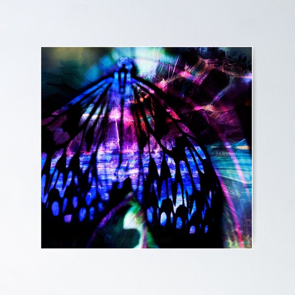 Digital Butterfly 4 in black and pink with hints of blue Poster