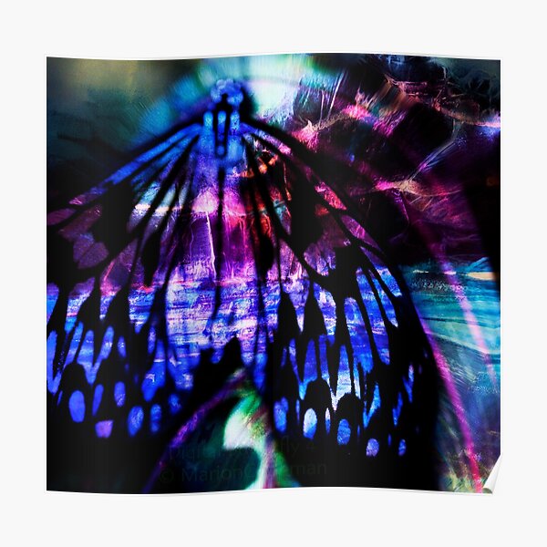 Digital Butterfly 4 in black and pink with hints of blue Poster