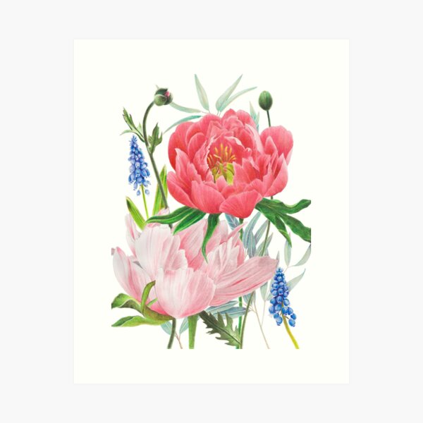 Item preview, Colorful Pink Peony Botanical Illustration designed and sold by Amber Frazier.