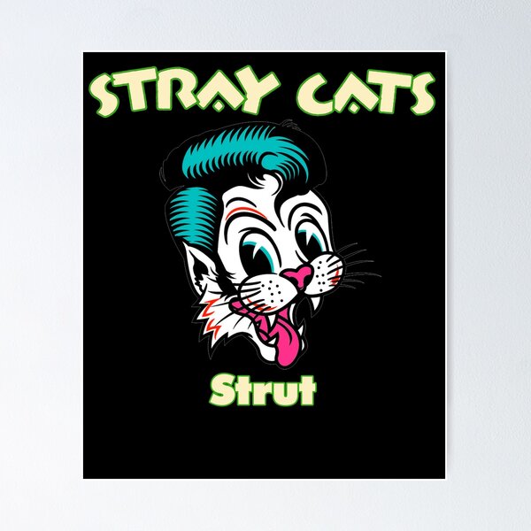 STRAY CATS 