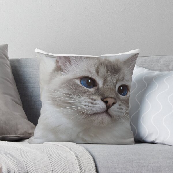 Item preview, Copy of Saoirse the lynx ragdoll princess designed and sold by Fluffycat2020.