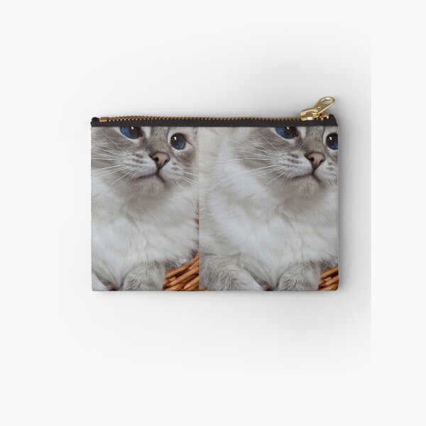 Item preview, Copy of Saoirse the lynx ragdoll princess designed and sold by Fluffycat2020.