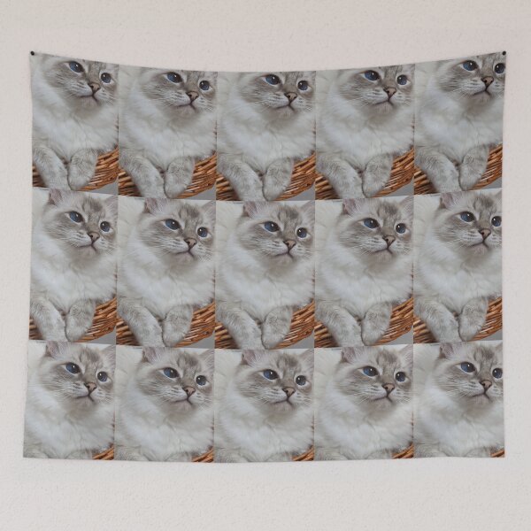 Item preview, Copy of Saoirse the lynx ragdoll princess designed and sold by Fluffycat2020.