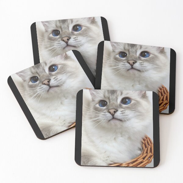 Item preview, Copy of Saoirse the lynx ragdoll princess designed and sold by Fluffycat2020.