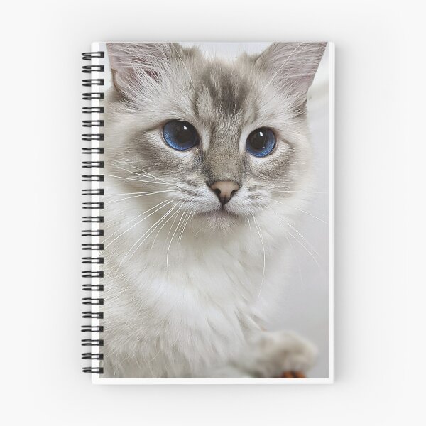 Item preview, Copy of Saoirse the lynx ragdoll princess designed and sold by Fluffycat2020.