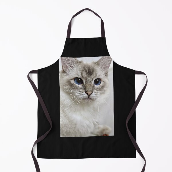 Item preview, Copy of Saoirse the lynx ragdoll princess designed and sold by Fluffycat2020.