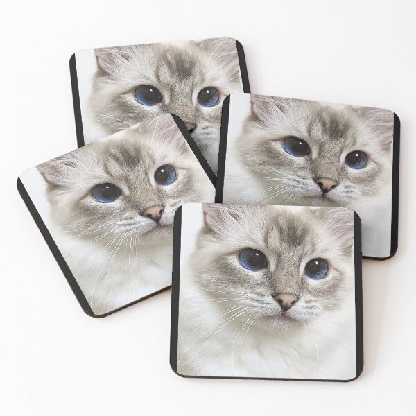 Item preview, Copy of Saoirse the lynx ragdoll princess designed and sold by Fluffycat2020.