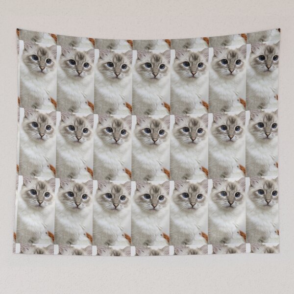 Item preview, Copy of Saoirse the lynx ragdoll princess designed and sold by Fluffycat2020.