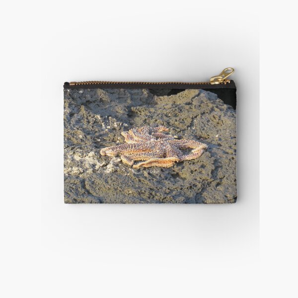 Item preview, Seastar on the rocks designed and sold by greentiger1.