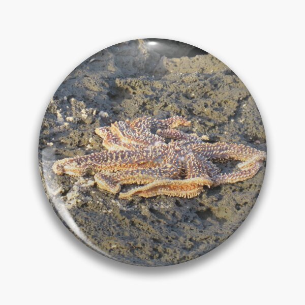 Item preview, Seastar on the rocks designed and sold by greentiger1.