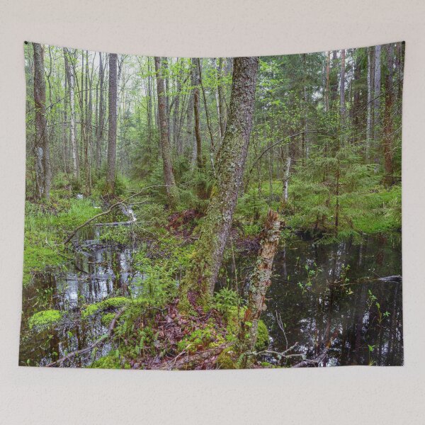 Item preview, Streams flood in of the spring forest designed and sold by yarvin13.
