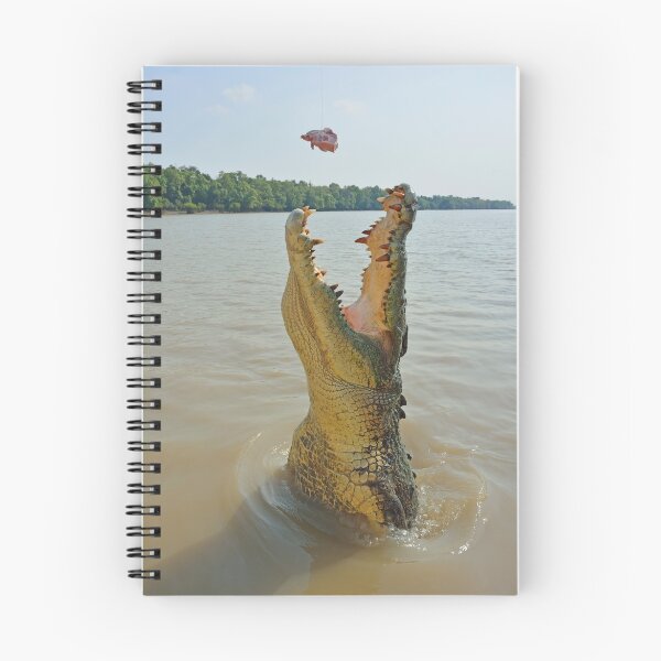 Item preview, Jumping Croc designed and sold by Peter Hocking.