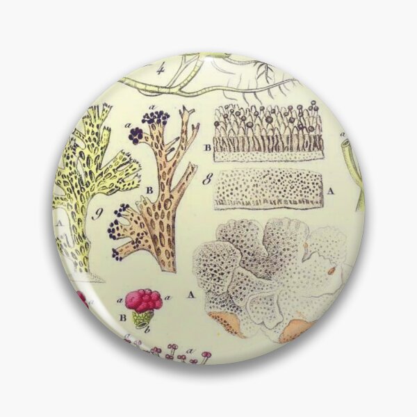Item preview, Lichen - Essai sur les cryptogames - Botanical Illustration designed and sold by chimakingthings.