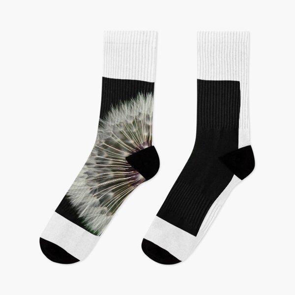 Item preview, White dandelion on black background designed and sold by olena2552.