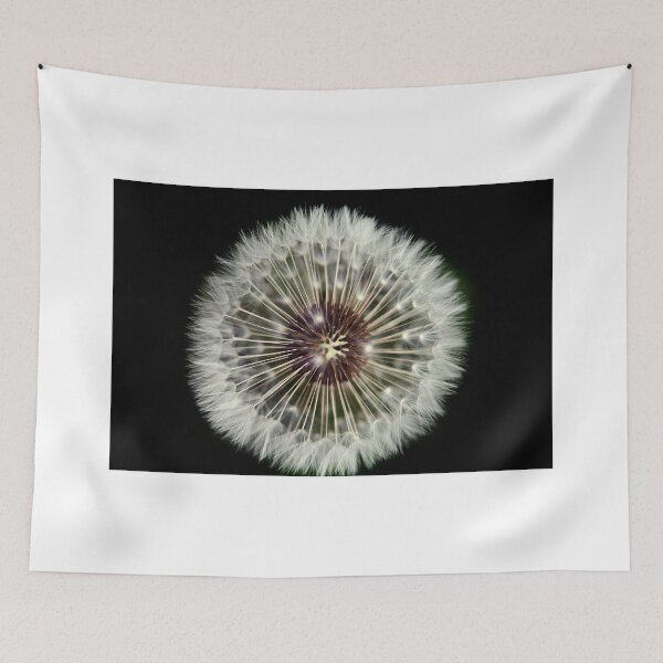 Item preview, White dandelion on black background designed and sold by olena2552.