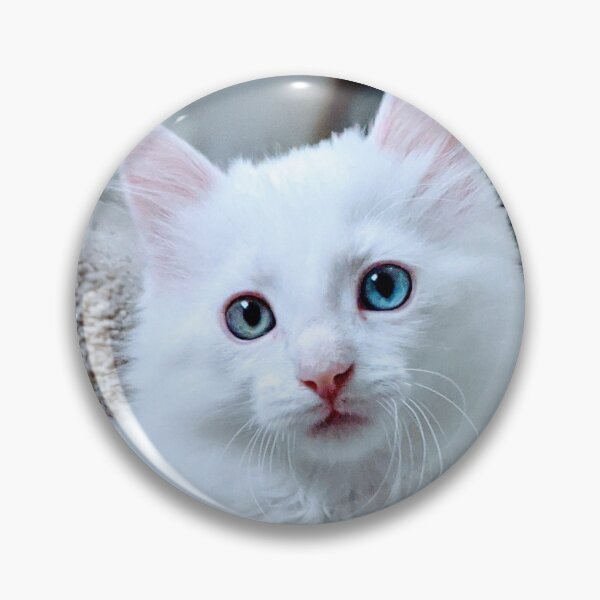 Item preview, White Norwegian forest ragdoll kitten designed and sold by Fluffycat2020.