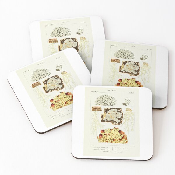 Item preview, Lichen 2 - Essai sur les cryptogames - Botanical Illustration designed and sold by chimakingthings.