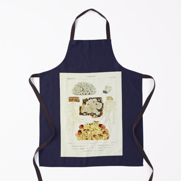 Item preview, Lichen 2 - Essai sur les cryptogames - Botanical Illustration designed and sold by chimakingthings.