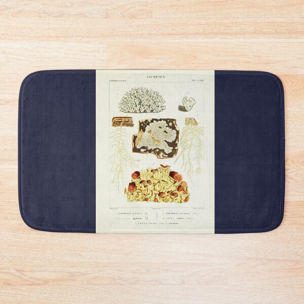 Item preview, Lichen 2 - Essai sur les cryptogames - Botanical Illustration designed and sold by chimakingthings.