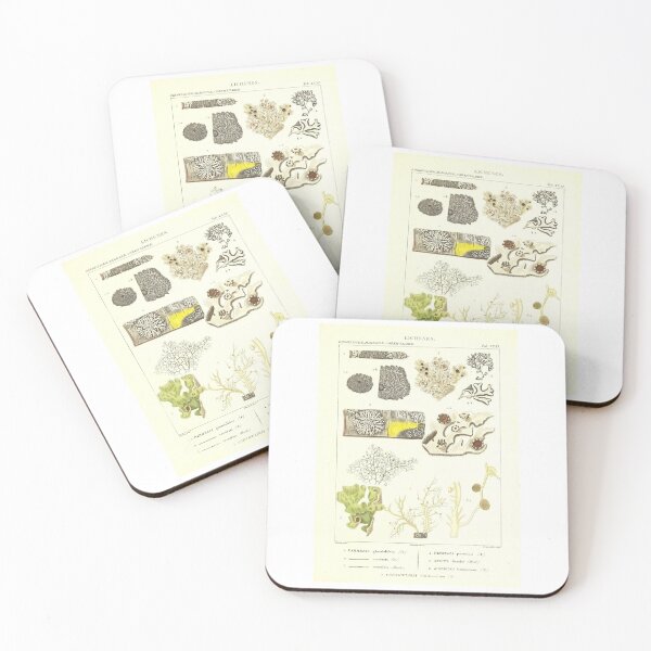 Item preview, Lichen  - Essai sur les cryptogames - Botanical Illustration designed and sold by chimakingthings.