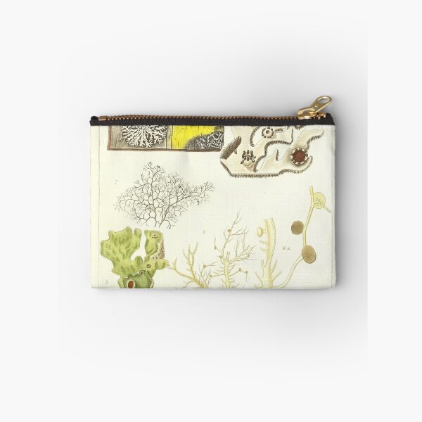 Item preview, Lichen  - Essai sur les cryptogames - Botanical Illustration designed and sold by chimakingthings.
