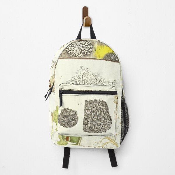 Item preview, Lichen  - Essai sur les cryptogames - Botanical Illustration designed and sold by chimakingthings.