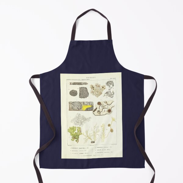 Item preview, Lichen  - Essai sur les cryptogames - Botanical Illustration designed and sold by chimakingthings.
