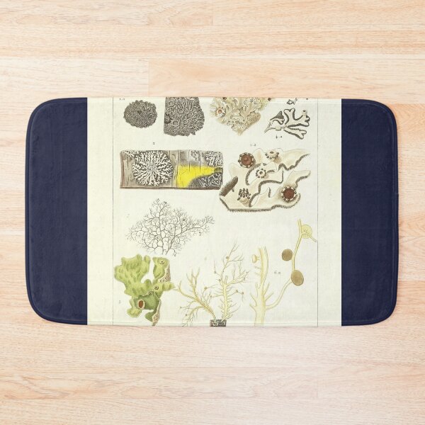 Item preview, Lichen  - Essai sur les cryptogames - Botanical Illustration designed and sold by chimakingthings.