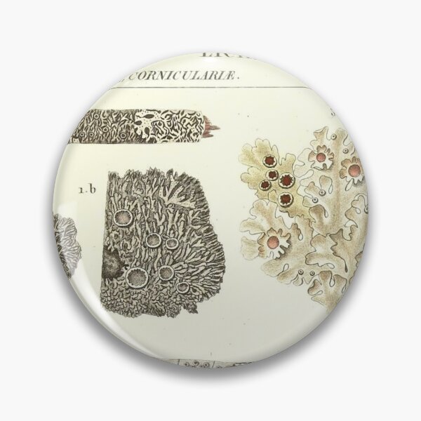 Item preview, Lichen  - Essai sur les cryptogames - Botanical Illustration designed and sold by chimakingthings.