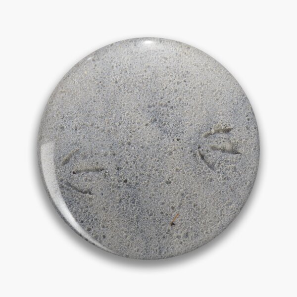 Item preview, Seagull footprints designed and sold by greentiger1.