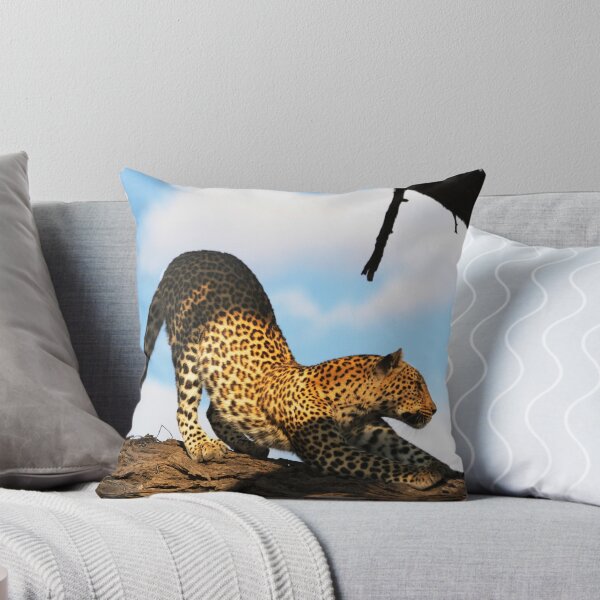 Item preview, Big Stretch designed and sold by Tom Page.