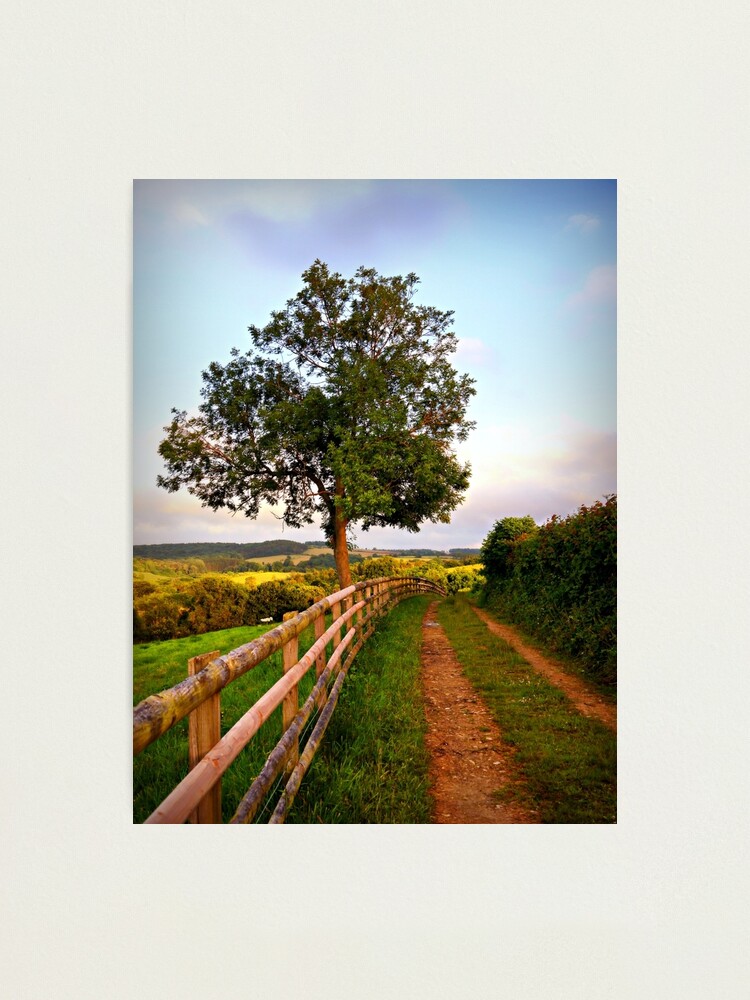 Thumbnail 2 of 3, Photographic Print, Follow The Path designed and sold by ScenicViewPics.