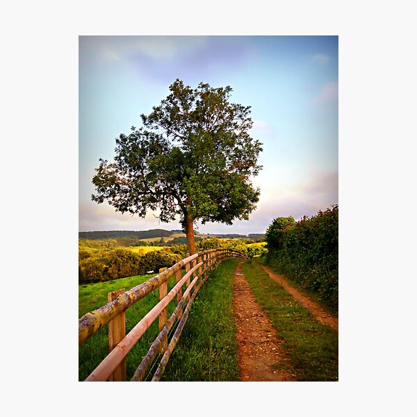 Photographic Print
