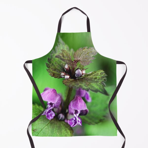 Item preview, Purple dead nettle designed and sold by ODENWALD-Natur.