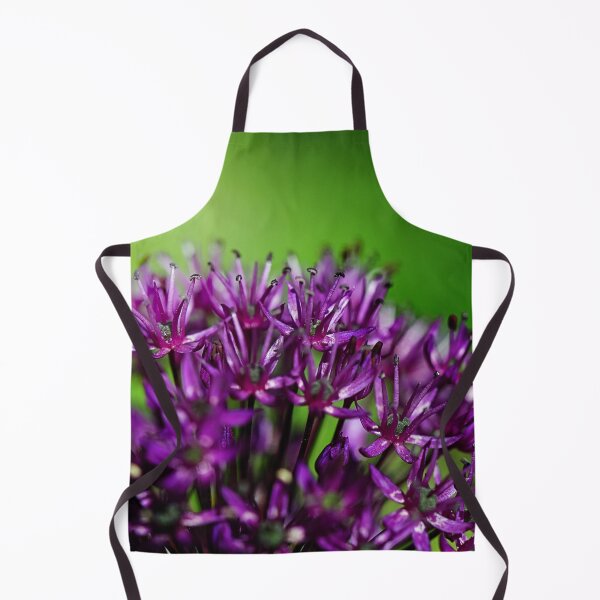 Item preview, Purple knapweed Centaurea designed and sold by ODENWALD-Natur.