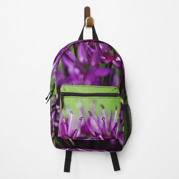 Item preview, Purple knapweed Centaurea designed and sold by ODENWALD-Natur.