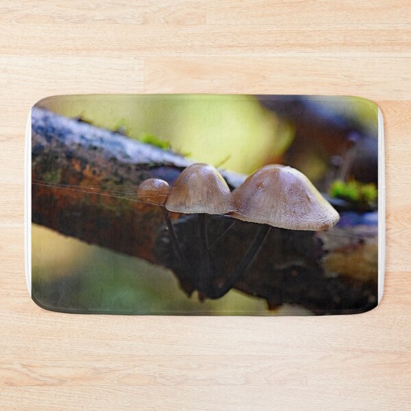 Item preview, Mushrooms settle on the branch designed and sold by ODENWALD-Natur.