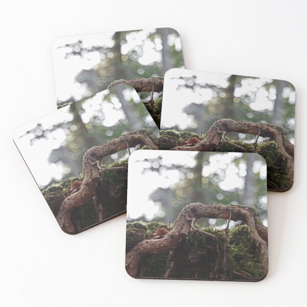 Item preview, Tree root | Nature photography designed and sold by Mii-pics.
